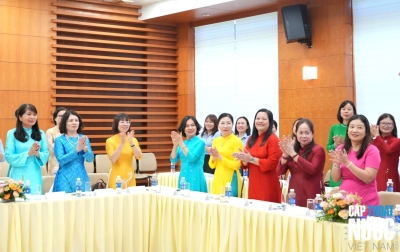 Bình đẳng giới trong doanh nghiệp ngành Nước Việt Nam: Từ nhận thức đến thể chế hóa hành động